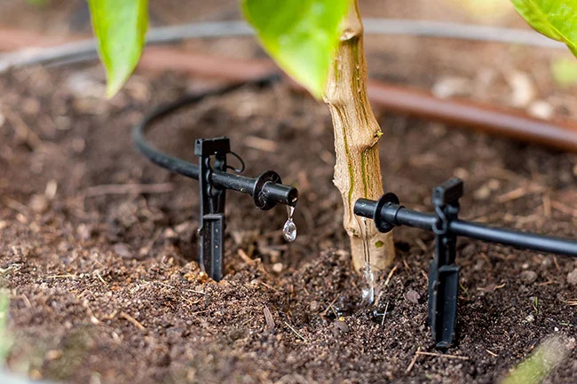 Low-Volume Drip Irrigation--These systems are designed to apply small amounts of water at a slow rate directly to the root zone of the plant