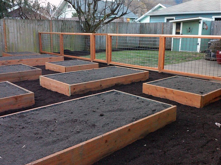 Raised Garden Beds- Unlike a traditional garden raised Beds are great because they can be made out of different materials