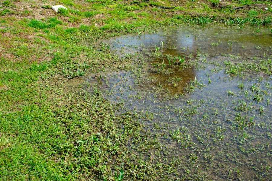 Donât Let Drainage Be a Downer Donât Let Drainage Be a Downer