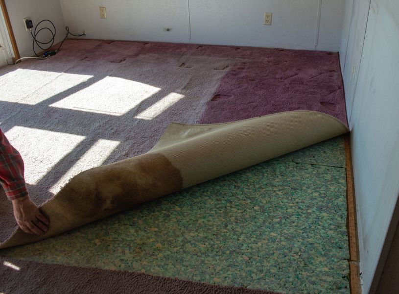 Can Your Carpet Pad Be Saved Can Your Carpet Pad Be Saved