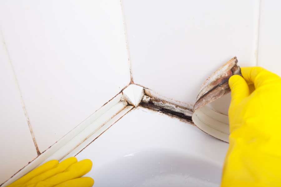 The Effects of Mold on Grout
