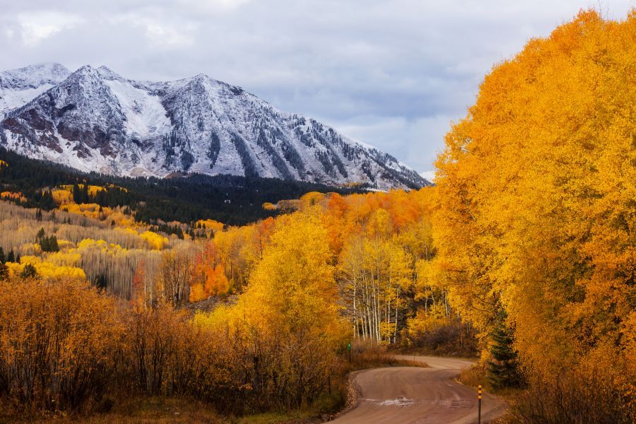 Your Home Sold Guaranteed Realty explains the top 10 reasons to love living in colorado.