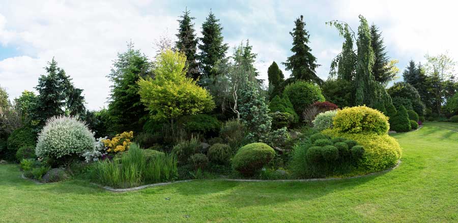 The Case for Professional Landscape Design this Spring