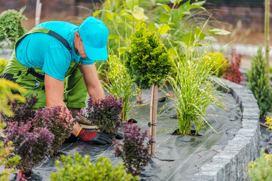 Elevate Your Outdoor Space: Transformative Landscaping Services from Top Cut Landscaping Co.
