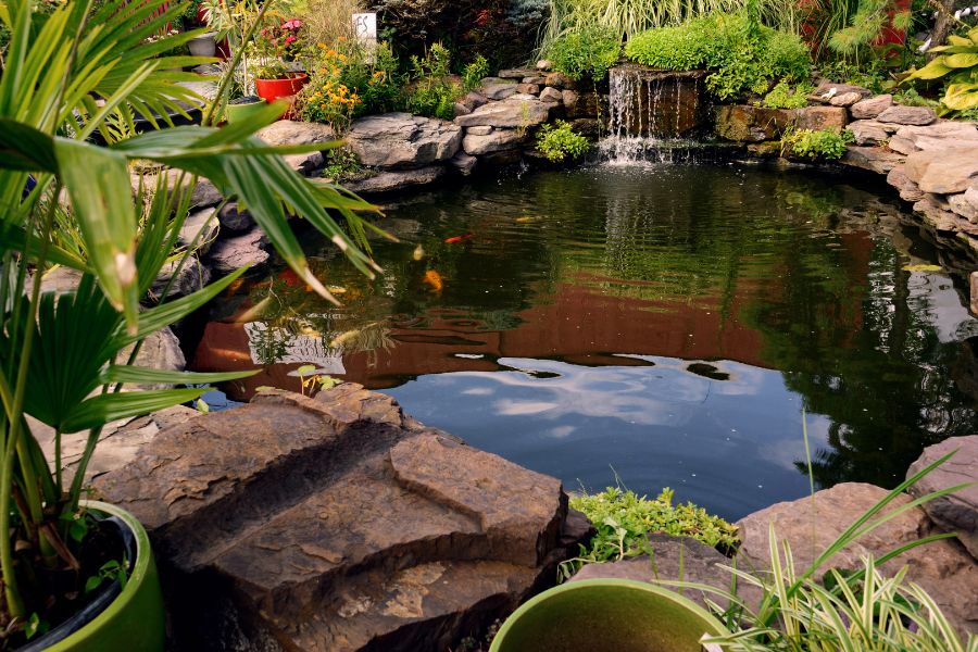 Top Tips for Maintaining a Pristine Pond with Top Cut Landscaping