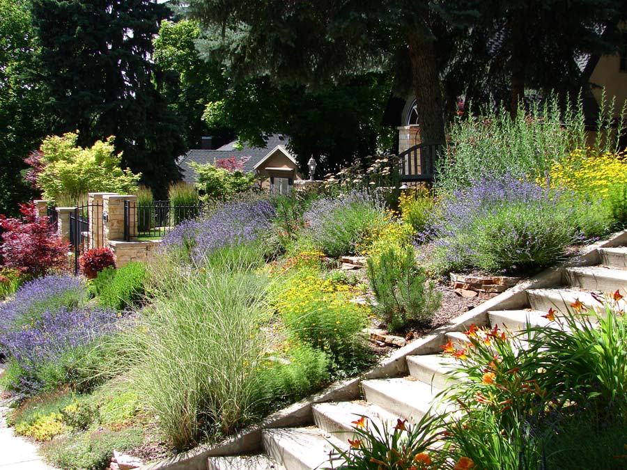 Why Xeriscaping Is Ideal for Colorado Lawns