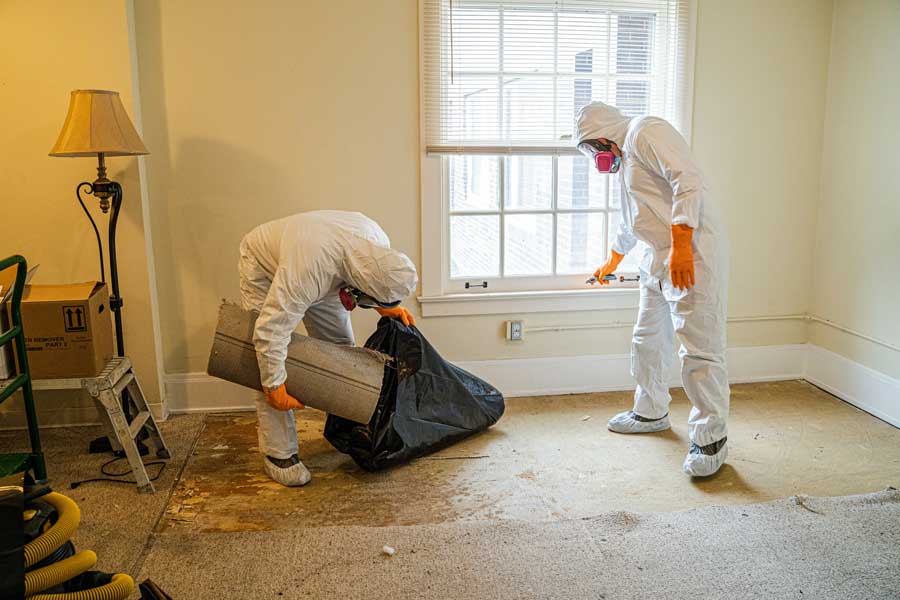 Common Situations that Call for Water Damage Restoration Services