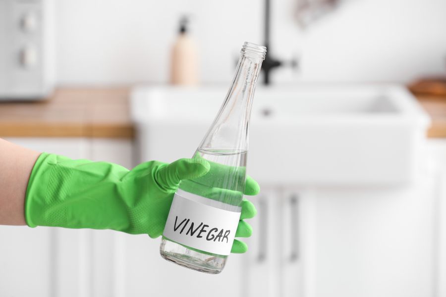 Surprising Things You Can Clean with Vinegar