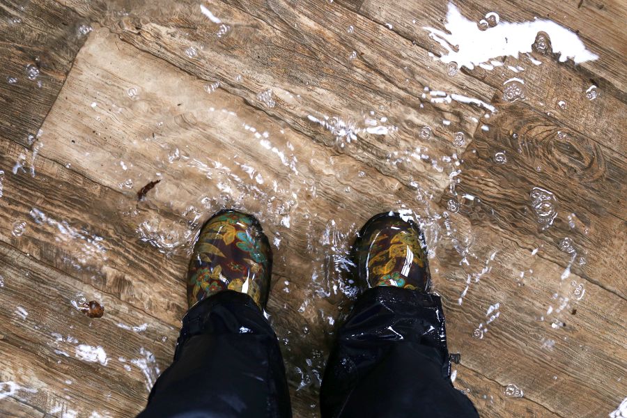 Turning the Tide on Water Damage