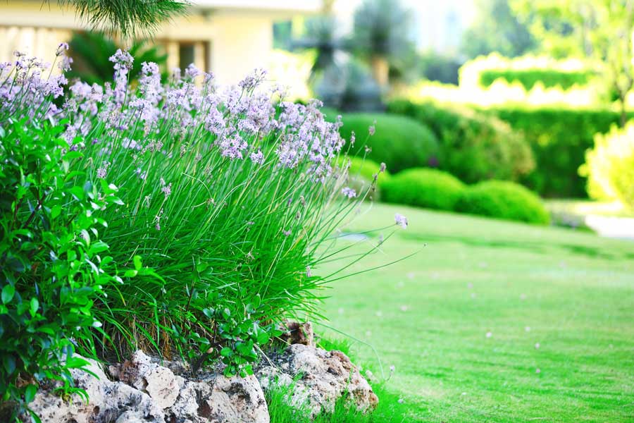 How the Landscaping Around Your Home Affects Your Foundation