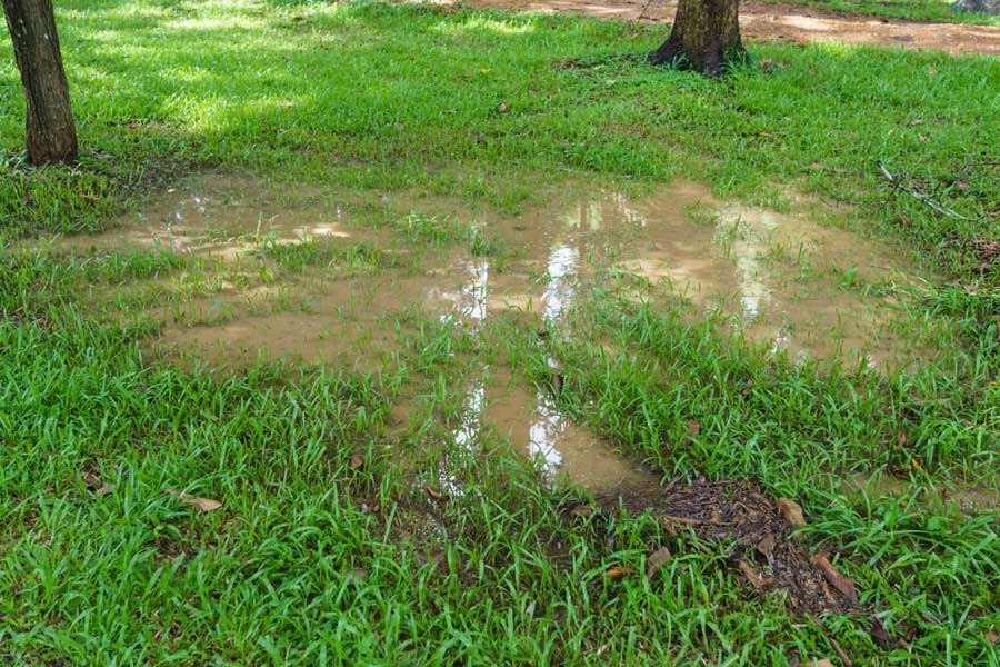 Signs Your Property Needs Drainage Improvements