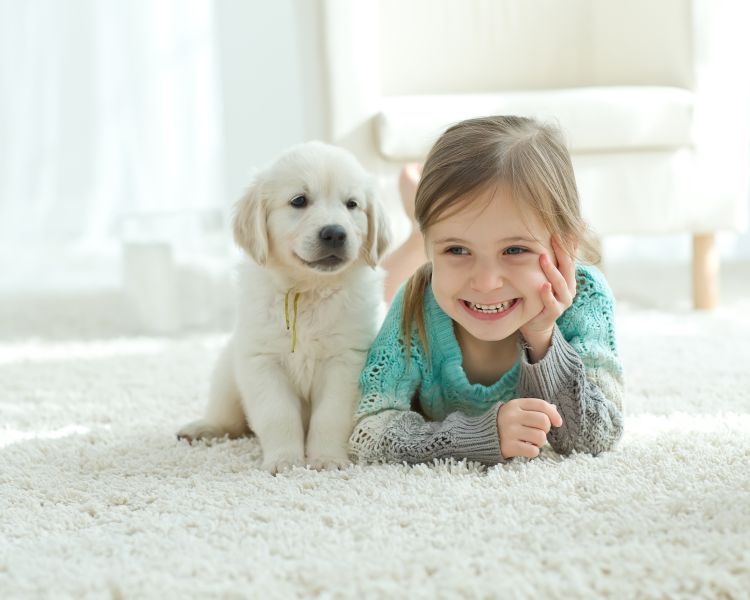How Elite Carpet Cleaning Boosts Your Health