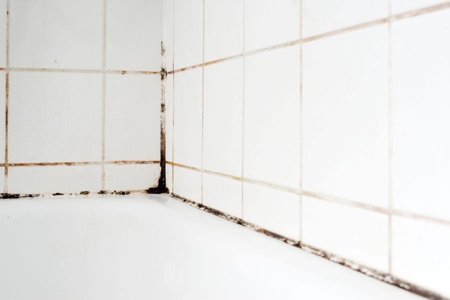 Mould in a bathroom	