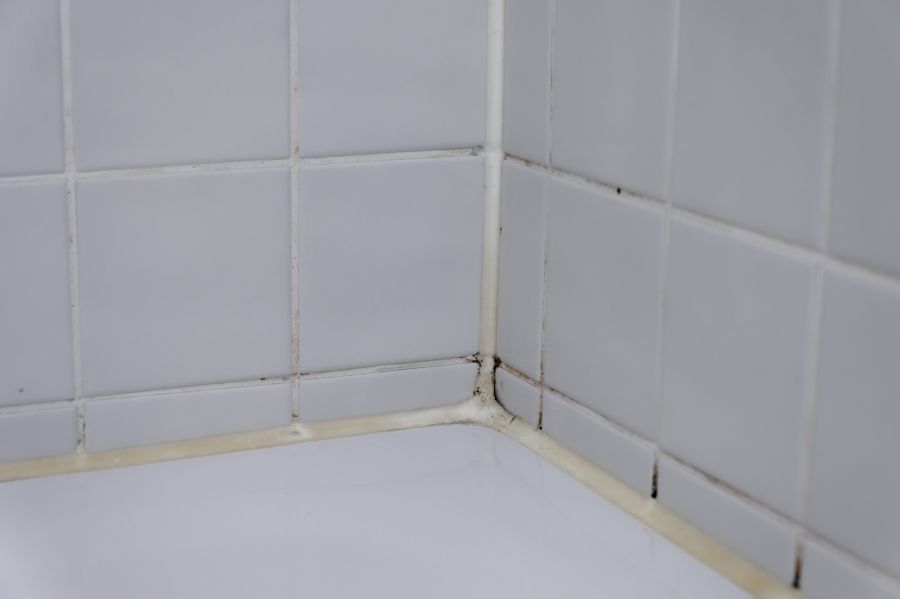 Missing cracked grout in a corner between interior white tiles showing the beginning of black mould in close up with copy space