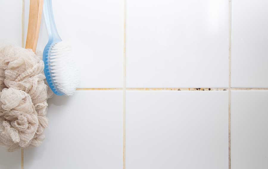 How Do You Prevent Mold from Growing on Your Shower Grout