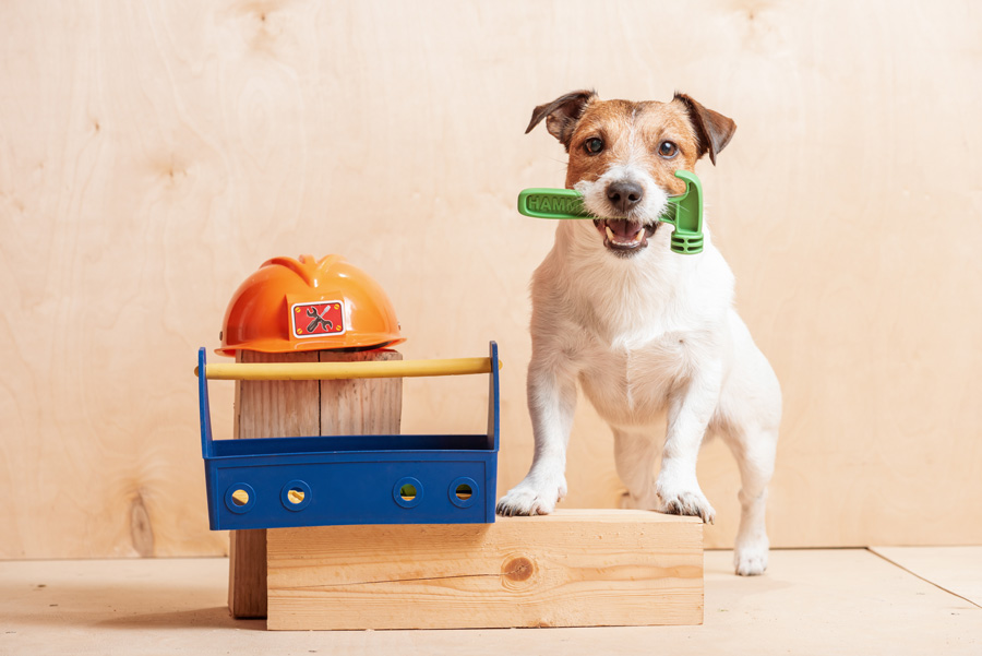 To DIY or Not To DIY, When to Call an Expert