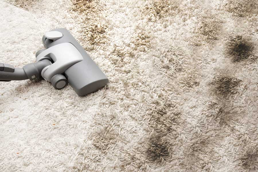 Dirty Carpet and Your Health