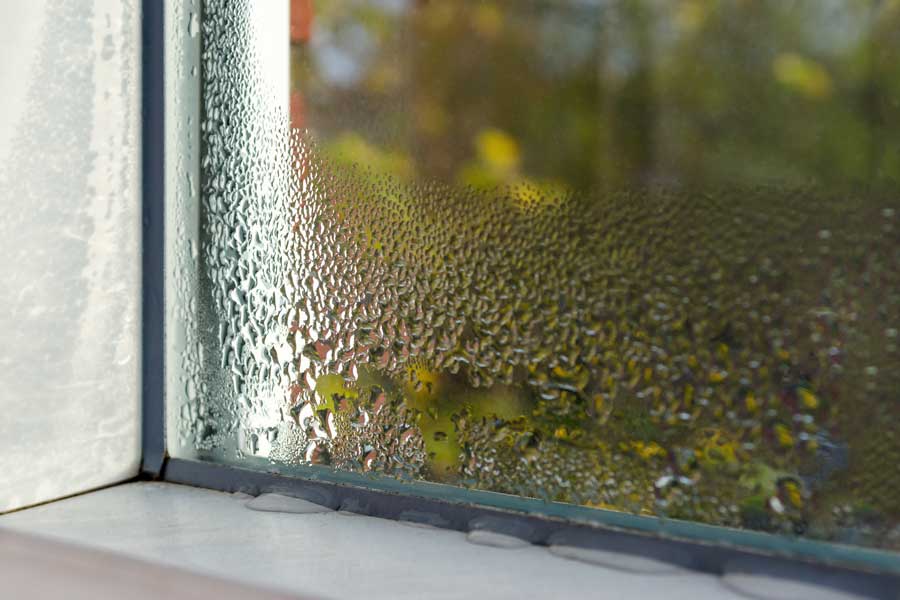 Summer Humidity and Your Carpet