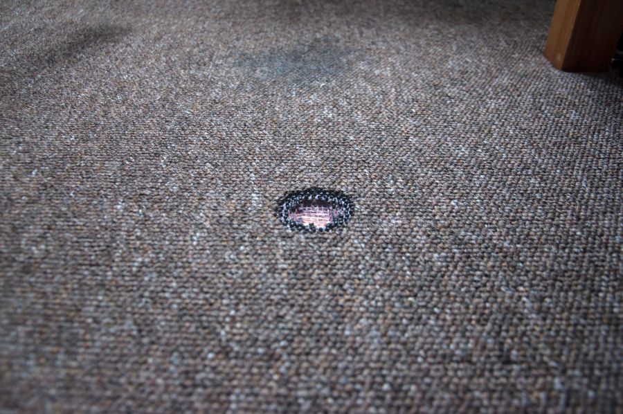 Restore Burnt Carpet Spots Like a Pro