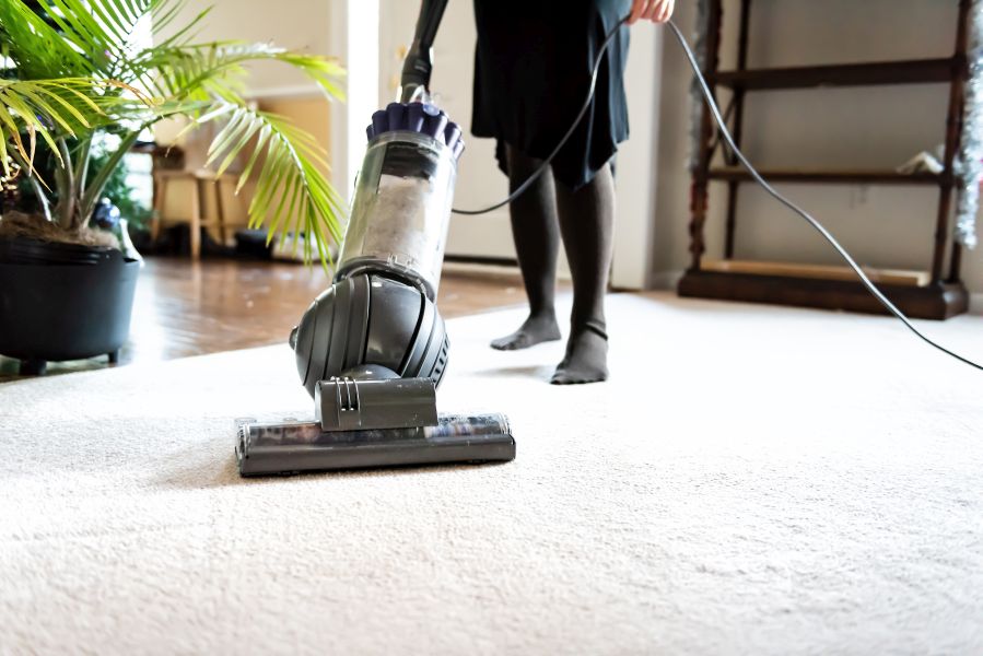 The Secret Life of Fresh Carpets