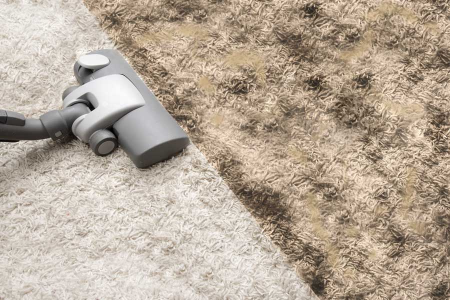 little known facts about dirty carpets Elite Carpet Cleaning Blog