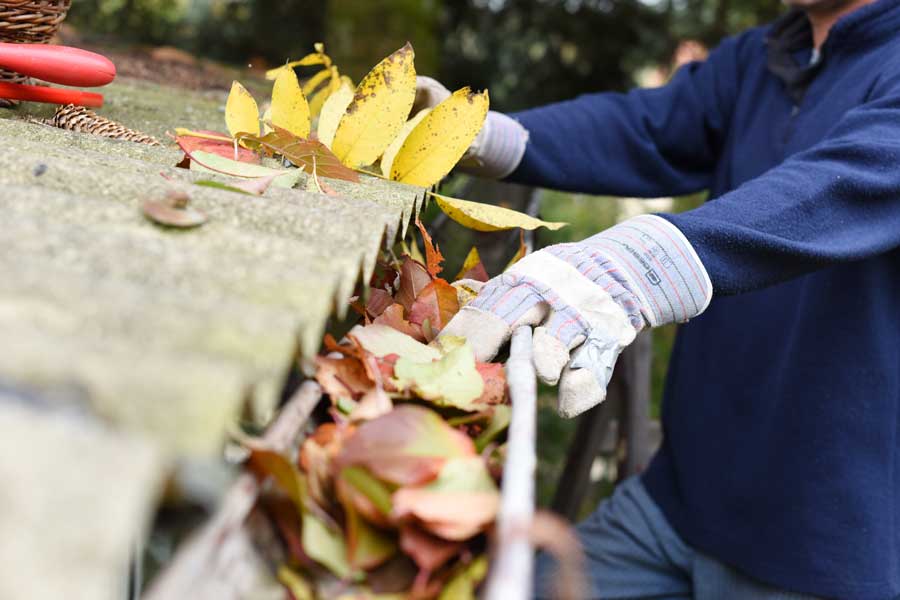 Fall Gutter Care