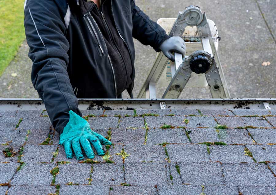 Give Your Roof Some TLC This Spring