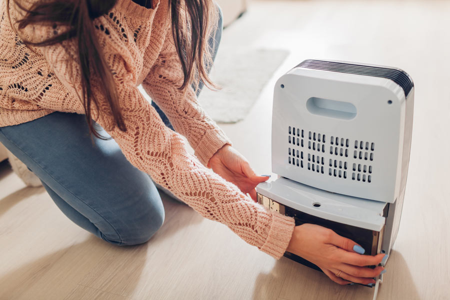 Wet CarpetâFight off Costly Damage and Mold with These Expert Approved Drying TechniquesÂ 