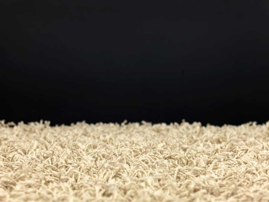 A Look at Shag Carpet