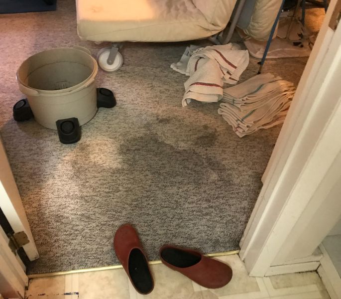 How to Dry a Wet Carpet Quickly and Prevent Damage