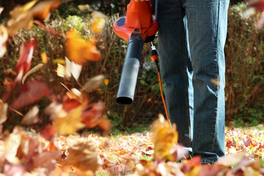 Tips for Clearing Fall Leaves