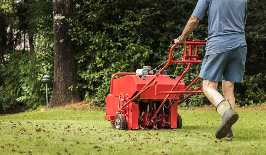 Rental Equipment to Help Clean Up Your Yard this Fall