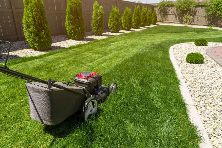 Cultivating a Carpet of Green: Pro Star Rentals Guide to Lawn Care Success