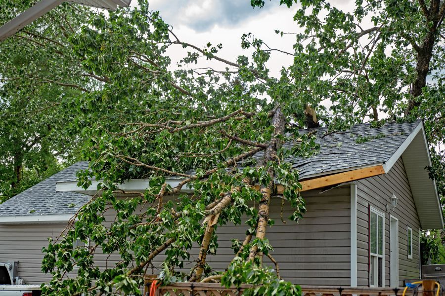 Gear Up for Storm Repairs with High-Quality Equipment from Pro Star Rental