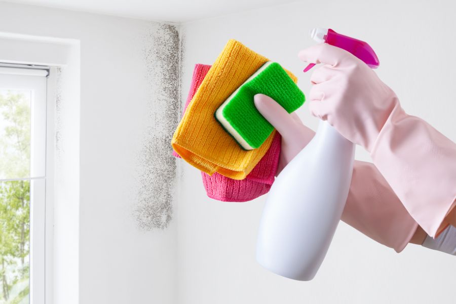 Mold Prevention in Grout: Keeping Your Home Healthy with Grout Medic Colorado Springs