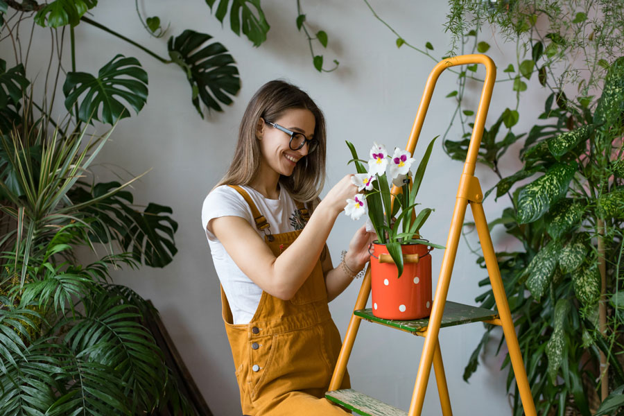 Using Your Sunroom as a Greenhouse