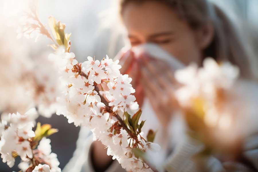 How to Enjoy Springtime in Spite of Allergies